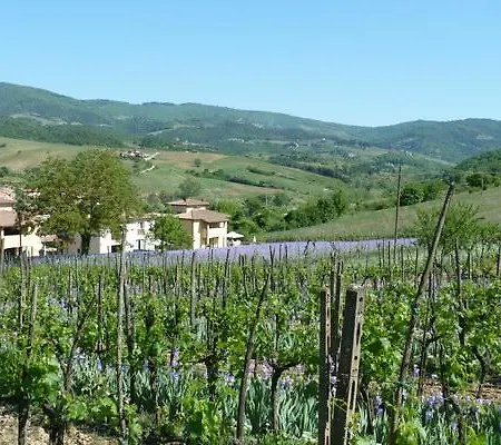 Casa Rosa Villa