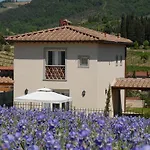 Casa Rosa
